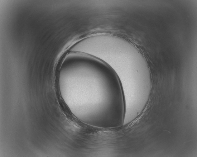 X0000060740150200511100921