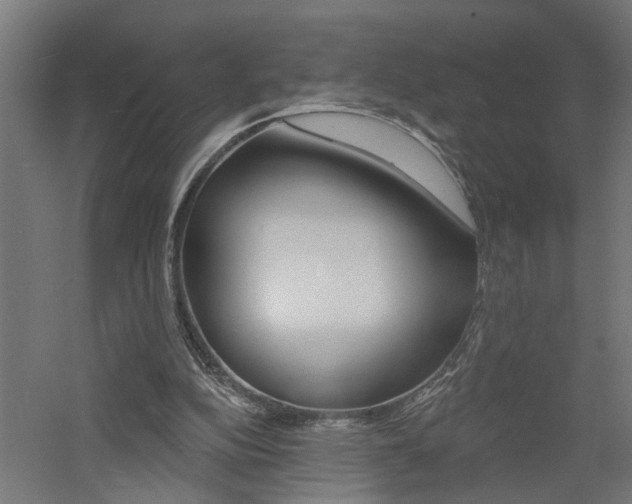 X0000060740152200511100921