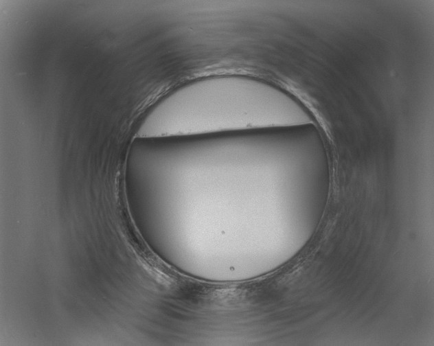 X0000060740153200511100921