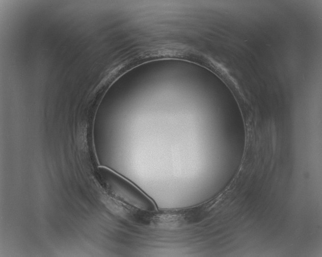 X0000060740154200511100921