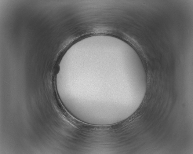 X0000060740155200511100921