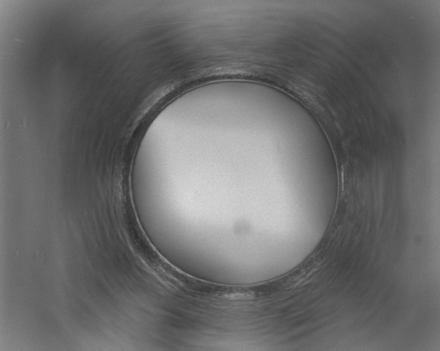 X0000060740156200511100921