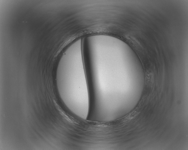 X0000060740158200511100921