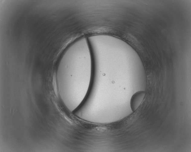 X0000060740159200511100921