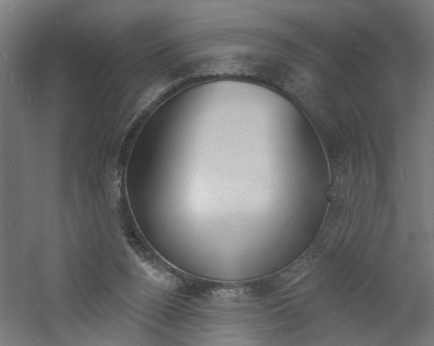 X0000060740160200511100921