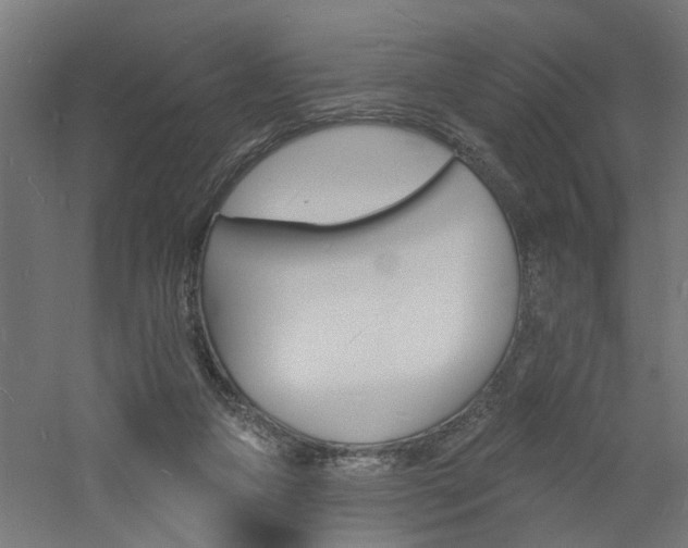 X0000060740161200511100921