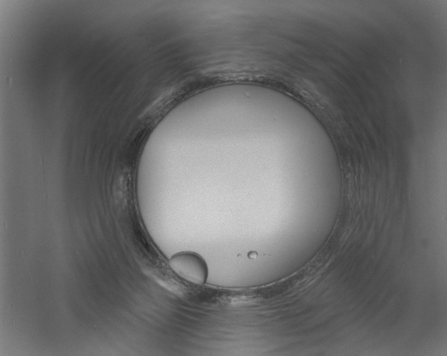 X0000060740165200511100921