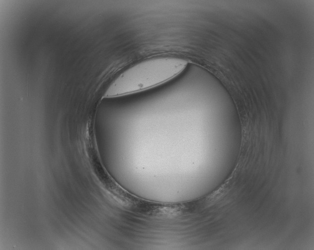 X0000060740166200511100921