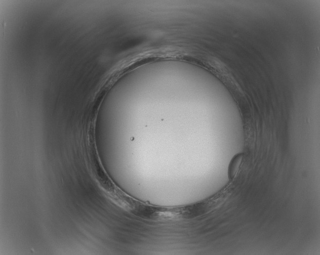 X0000060740167200511100921