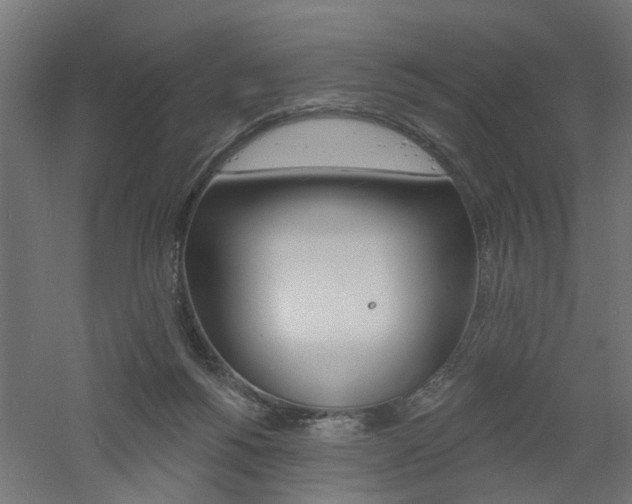 X0000060740168200511100921