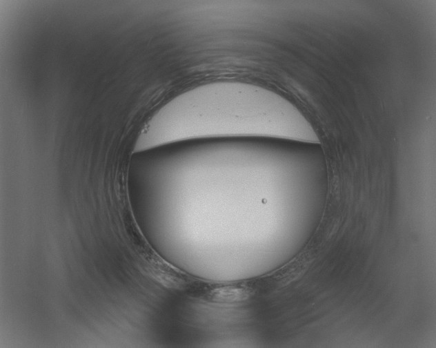 X0000060740169200511100921