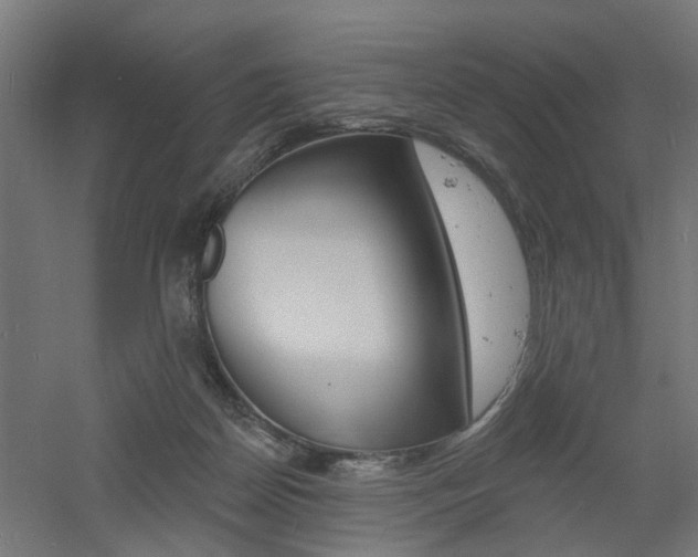 X0000060740170200511100921