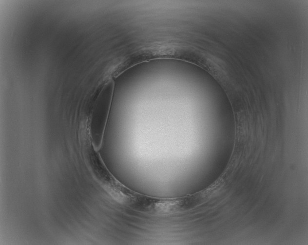 X0000060740172200511100921