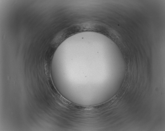 X0000060740173200511100921