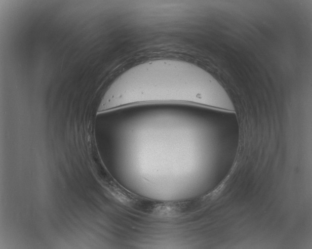 X0000060740174200511100921