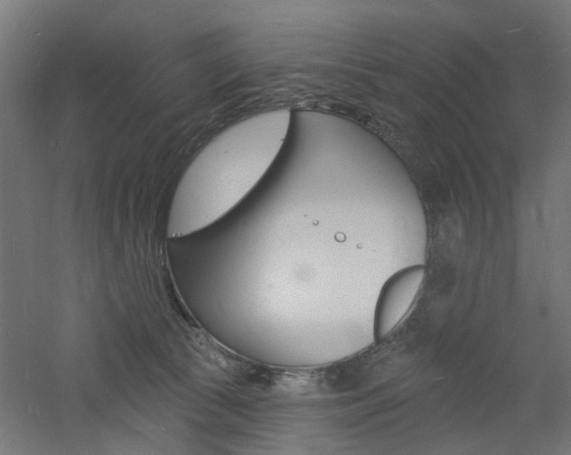 X0000060740177200511100921