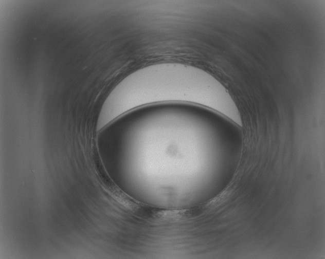 X0000060740184200511100921