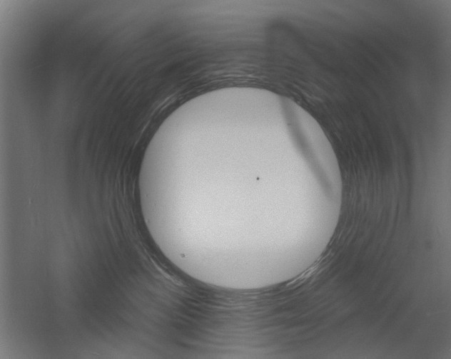 X0000060740188200511100921