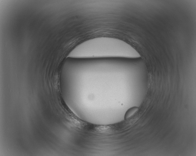 X0000060740189200511100921