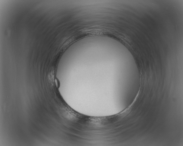 X0000060740190200511100921