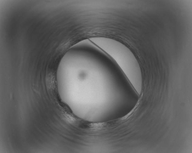 X0000060740192200511100921