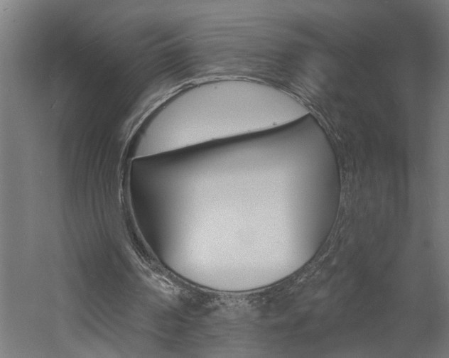 X0000060740194200511100920