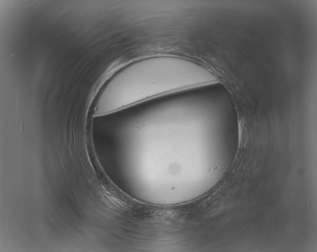 X0000060740195200511100920