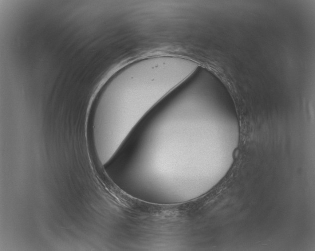 X0000060740196200511100920