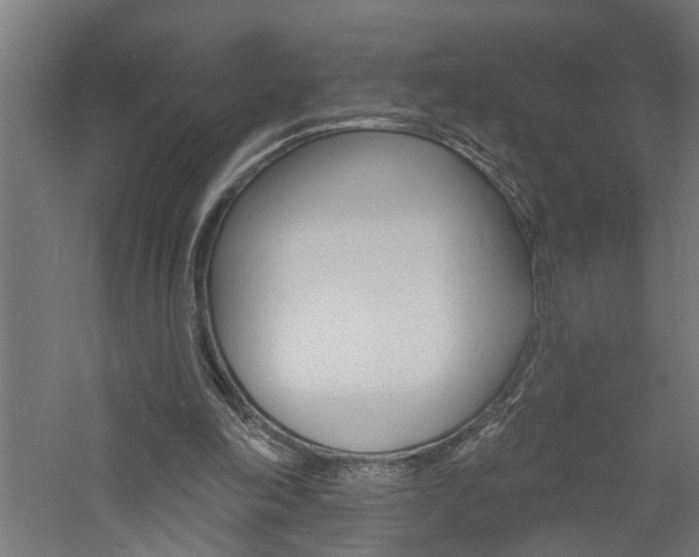 X0000060740198200511100920