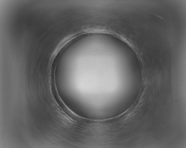 X0000060740199200511100920