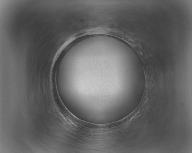 X0000060740200200511100920