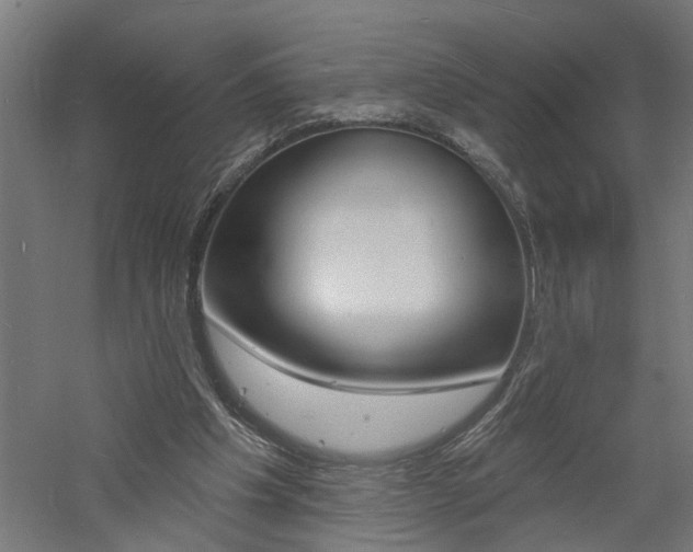 X0000060740201200511100920