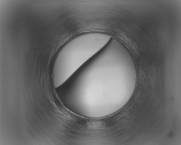 X0000060740202200511100920