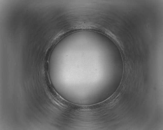 X0000060740203200511100920