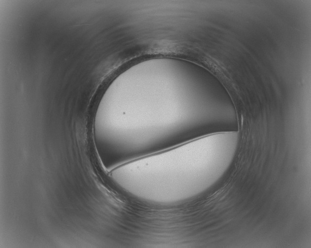 X0000060740204200511100920