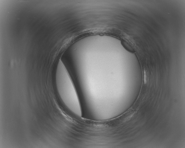 X0000060740205200511100920