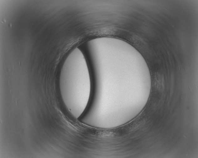 X0000060740206200511100920