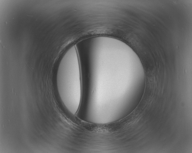 X0000060740207200511100920