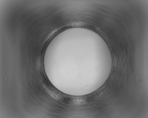 X0000060740208200511100920