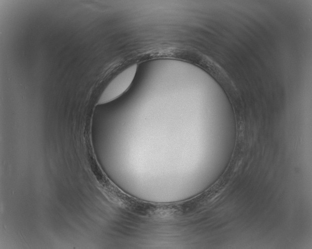 X0000060740209200511100920