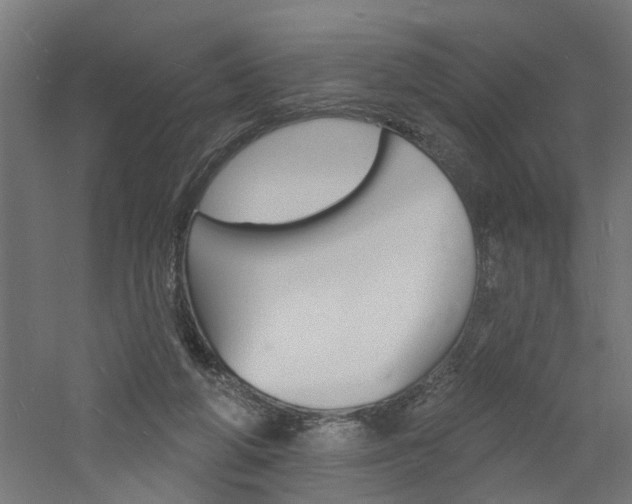 X0000060740210200511100920