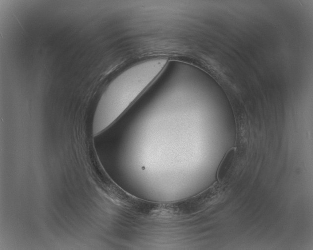 X0000060740211200511100920