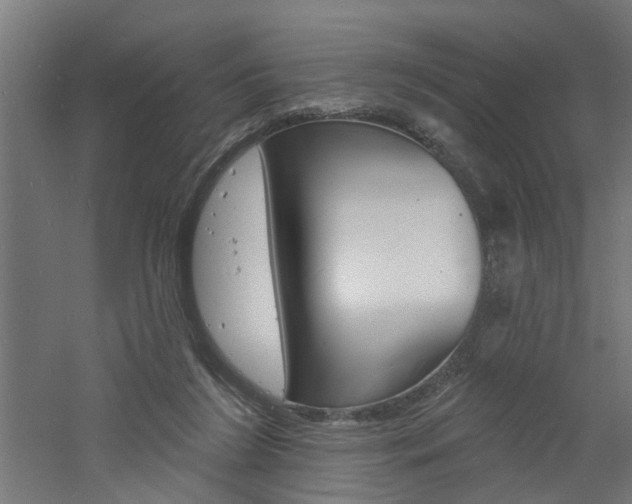 X0000060740212200511100920