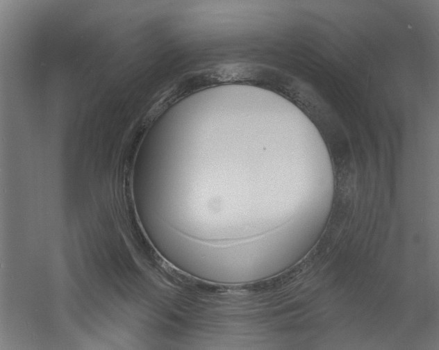 X0000060740214200511100920