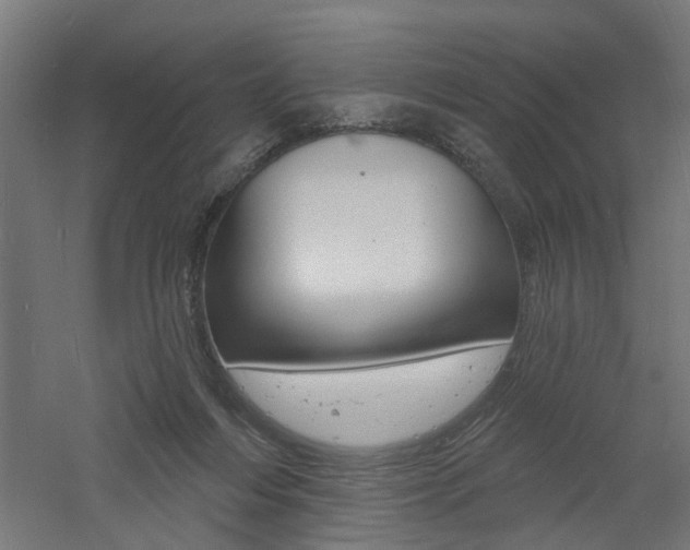 X0000060740216200511100920