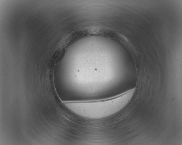 X0000060740217200511100920