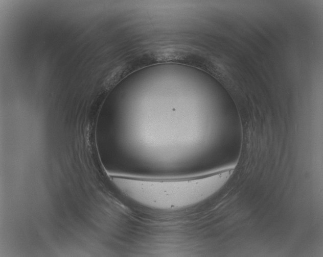 X0000060740219200511100920