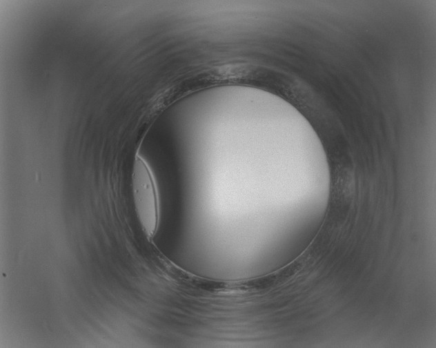 X0000060740220200511100920