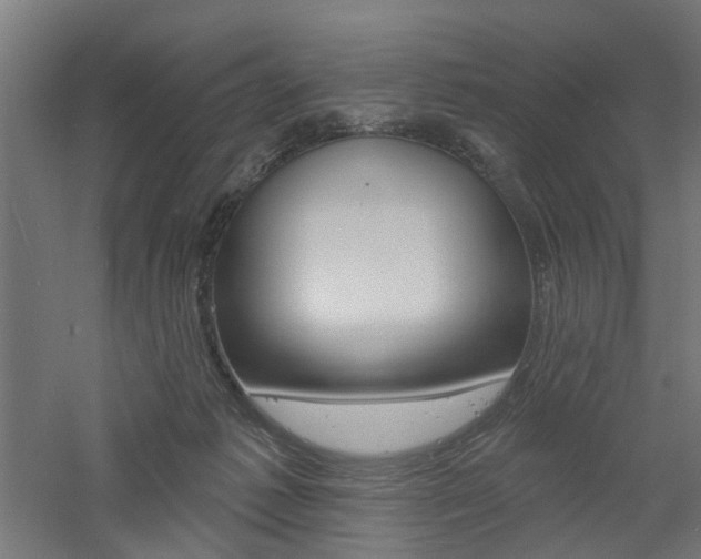 X0000060740221200511100920