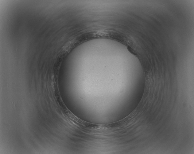 X0000060740223200511100920